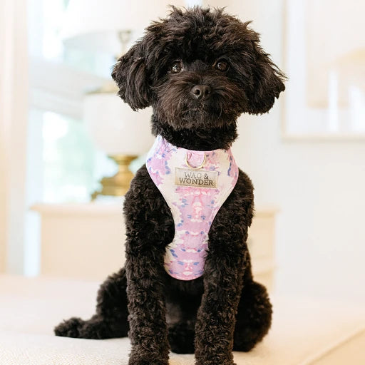 French Lavender Reversible Dog Harness – Designer Print by Danika Herrick | Limited Edition Chic Adjustable Harness