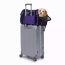 Purple - JESPET Soft-Sided Kennel Pet Carrier for Small Dogs, Cats, Puppy, Airline Approved Cat Carriers Dog Carrier Collapsible, Travel Handbag & Car Seat - 19" x 10" x 13"