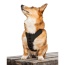 Anthracite Black - K9 Sport Harness - Small (13-15" Neck 13-18" Chest)