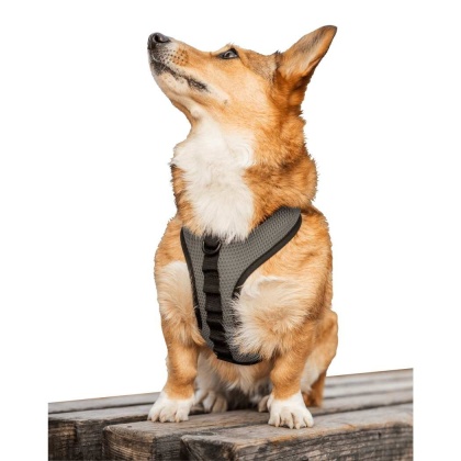 Shark Skin Gray - K9 Sport Harness - X-Small (11-13" Neck 11-15" Chest)