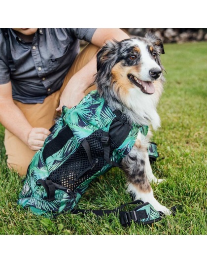 Summer Mint - K9 Sport Sack Air 2 - Medium (17"-20" from collar to tail)