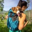 Harbor Blue - K9 Sport Sack Trainer - Small (13"-17" from collar to tail)