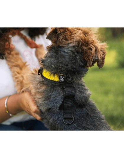Buttercup Yellow - Walk-On with Harness & Storage - Large (17-19" Neck 17-24" Chest)