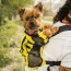Buttercup Yellow - Walk-On with Harness & Storage - Medium (15-17" Neck 15-21" Chest)
