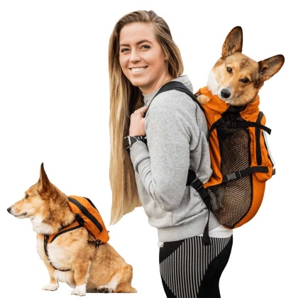 Sunset Orange - Walk-On with Harness & Storage - X-Small (11-13" Neck 11-15" Chest)