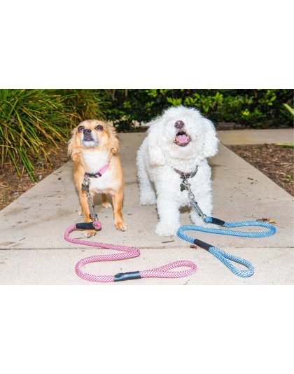 Kandy Kane - Tug Control Leash with Reflectors & Shock Absorber - Medium