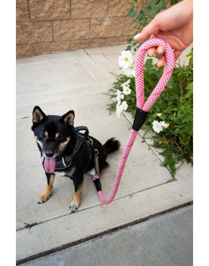 Kandy Kane - Tug Control Leash with Reflectors & Shock Absorber - Medium