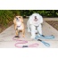 Kandy Kane - Tug Control Leash with Reflectors & Shock Absorber - Large