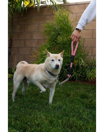 Kandy Kane - Tug Control Leash with Reflectors & Shock Absorber - Medium
