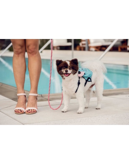 Kandy Kane - Tug Control Leash with Reflectors & Shock Absorber - Medium