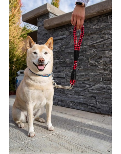 Ladybug - Tug Control Leash with Reflectors & Shock Absorber - Large