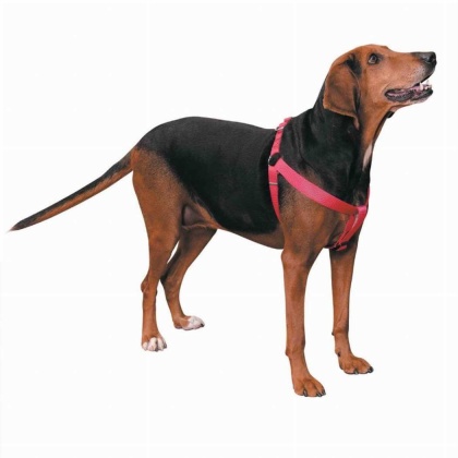 Pink - CC Nylon 2 Step Harness 25-40In Pnk - 25-40in