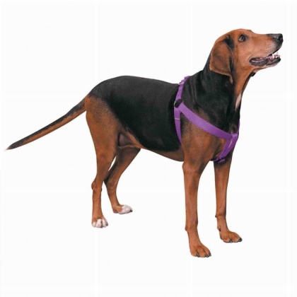 Purple - CC Nylon 2 Step Harness 15-25In Pur - 15-25in