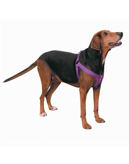 Purple - CC Nylon 2 Step Harness 15-25In Pur - 15-25in
