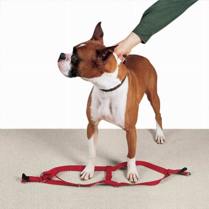 Red - CC Nylon 2 Step Harness 15-25In Red - 15-25in