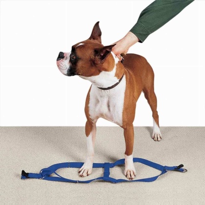 Royal Blue - CC Nylon 2 Step Harness 15-25In Blu - 15-25in