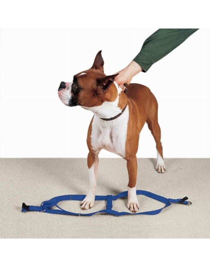 Royal Blue - CC Nylon 2 Step Harness 15-25In Blu - 15-25in