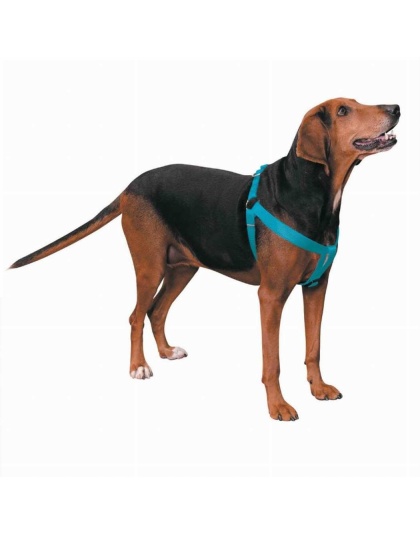 Turqouise - CC Nylon 2 Step Harness 25-40In Blu - 25-40in