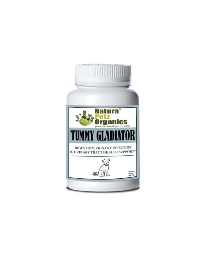 Tummy Gladiator - Digestion, Adjunctive Reflux & Urinary Tract Support* - Dog / 250 caps / 500 mg/ Size 1
