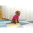 Royal Rosa With Gray Fringe - Mr. Peanut's Knitted Acrylic Dog Sweaters - XX Large