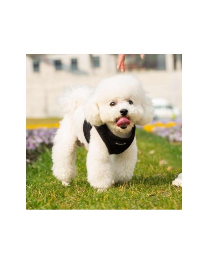 Black - Mr. Peanut's PupTrek Small Dog/Cat Soft Mesh Step In Harness Vest - XSmall