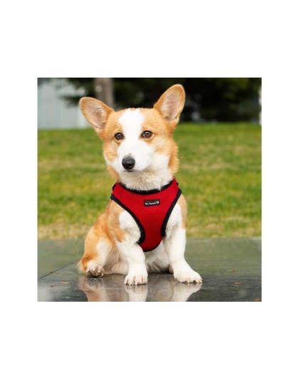 Red - Mr. Peanut's PupTrek Small Dog/Cat Soft Mesh Step In Harness Vest - XLarge