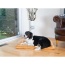Earth Brown - Armarkat Pet Bed Mat, Dog Crate Soft Pad W Poly Fill Cushion - L
