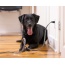 PETCORDS HEAVY DUTY 8FT CORD PROTECTOR FOR PETS MADE IN USA