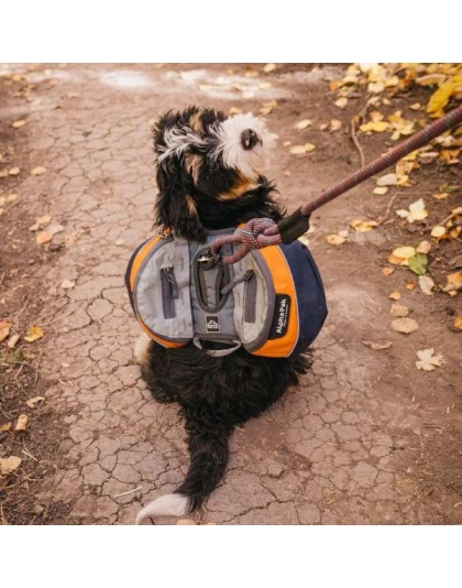 MILE HIGH - Adventurer 2-piece Dog Pack With EZ Latch  Harness - Large