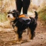 MILE HIGH - Adventurer 2-piece Dog Pack With EZ Latch  Harness - Medium