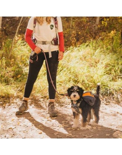 MILE HIGH - Adventurer 2-piece Dog Pack With EZ Latch  Harness - Extra Large