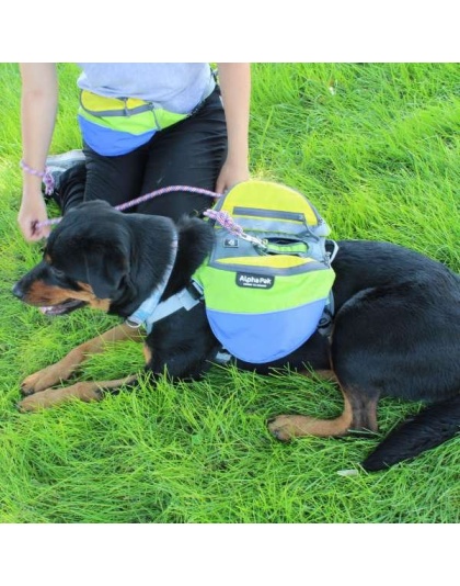 RAIN FOREST - Adventurer 2-piece Dog Pack With EZ Latch  Harness - Medium