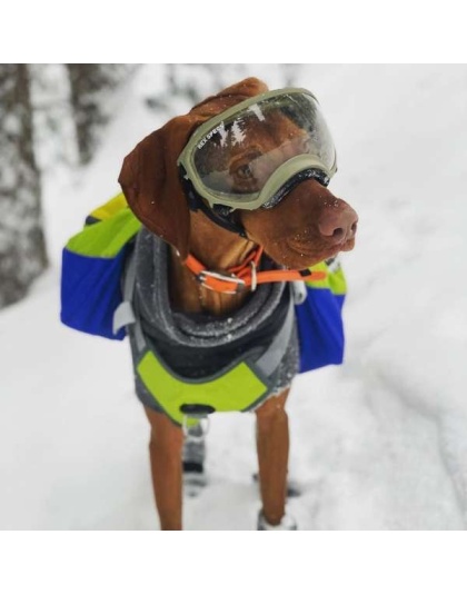 RAIN FOREST - Adventurer 2-piece Dog Pack With EZ Latch  Harness - Small